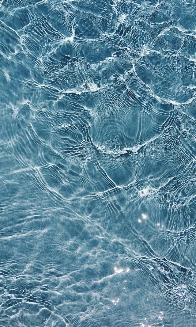 The Human-Ocean Connection with Sara Campbell